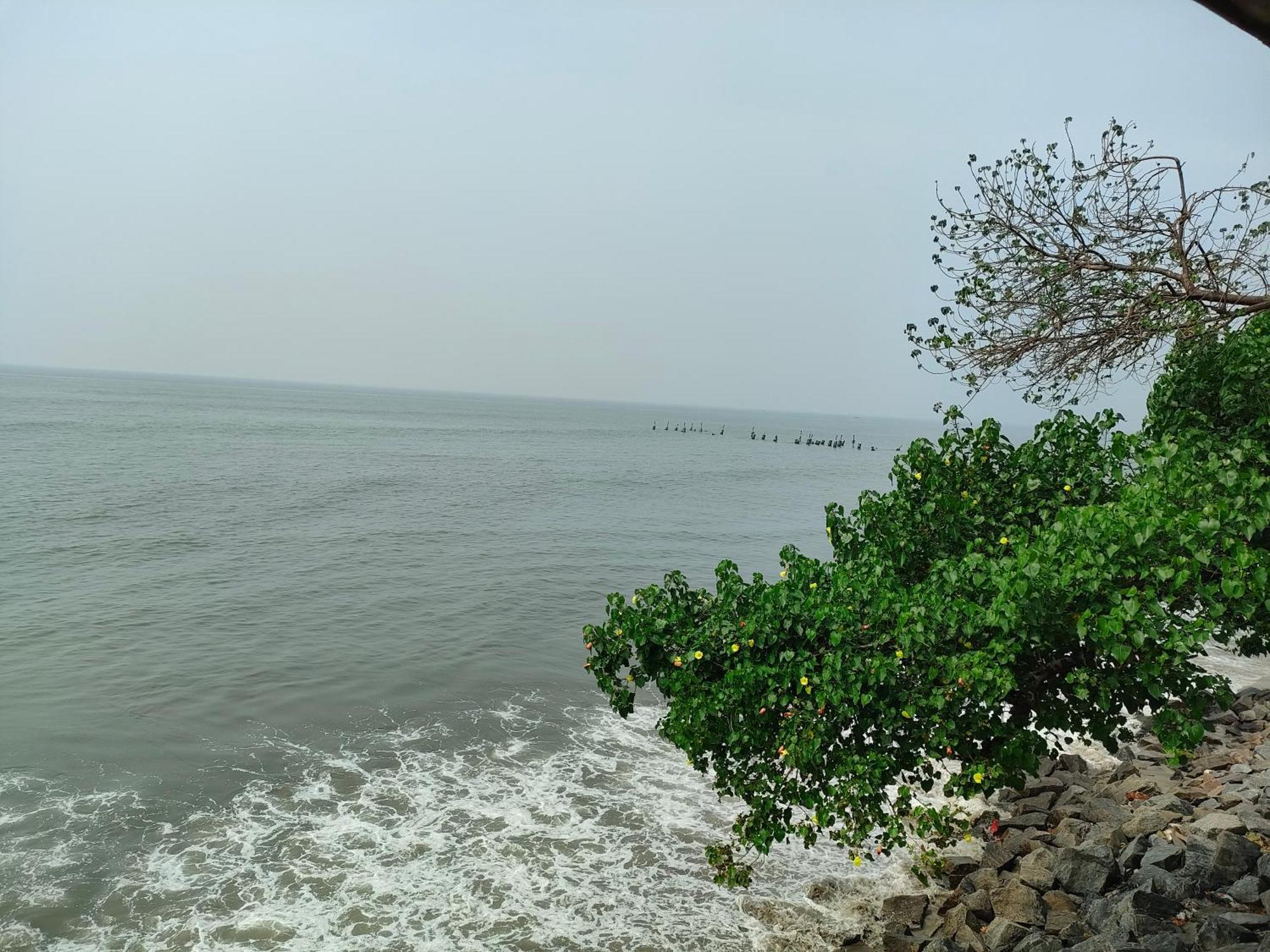 Coastal Den Homestay Pallipuram Luaran gambar